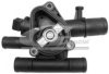 NISSA 1106000QAF Thermostat, coolant